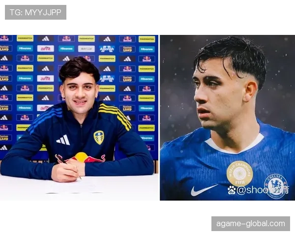 切尔西核心球员尚未确立：近期状态波动，赛季稳定性受到影响